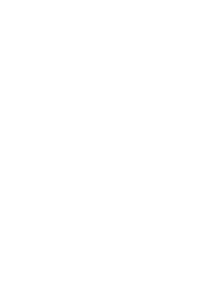 THE ORIENT
