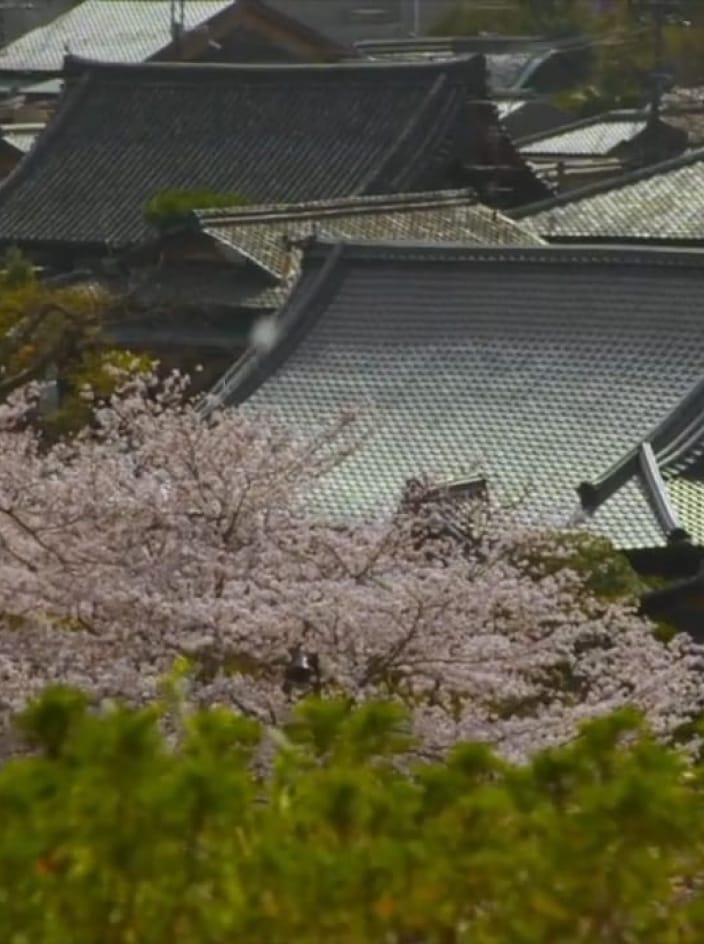 THE SODOH HIGASHIYAMA KYOTO