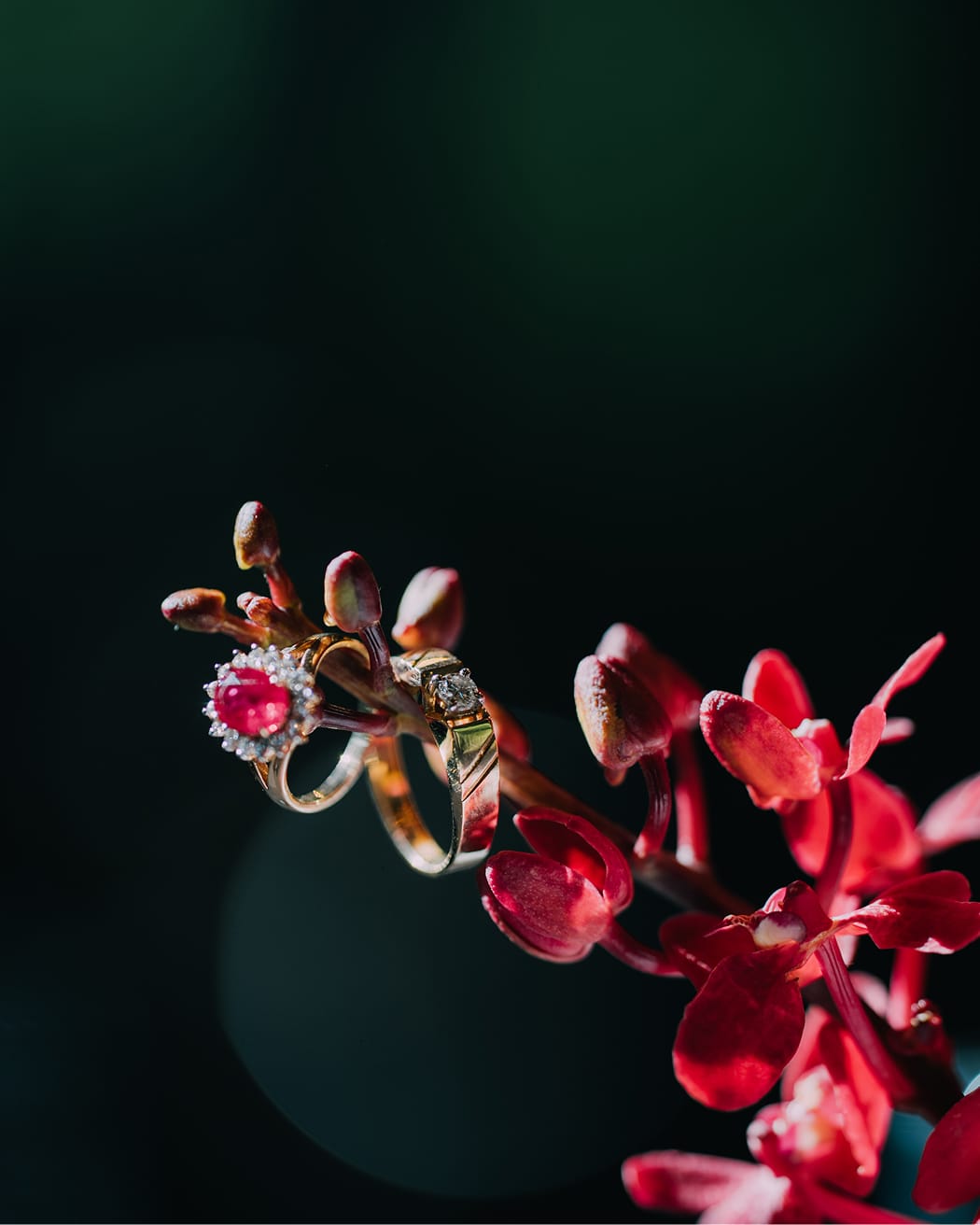 Weddings - Plan･Do･See Inc.